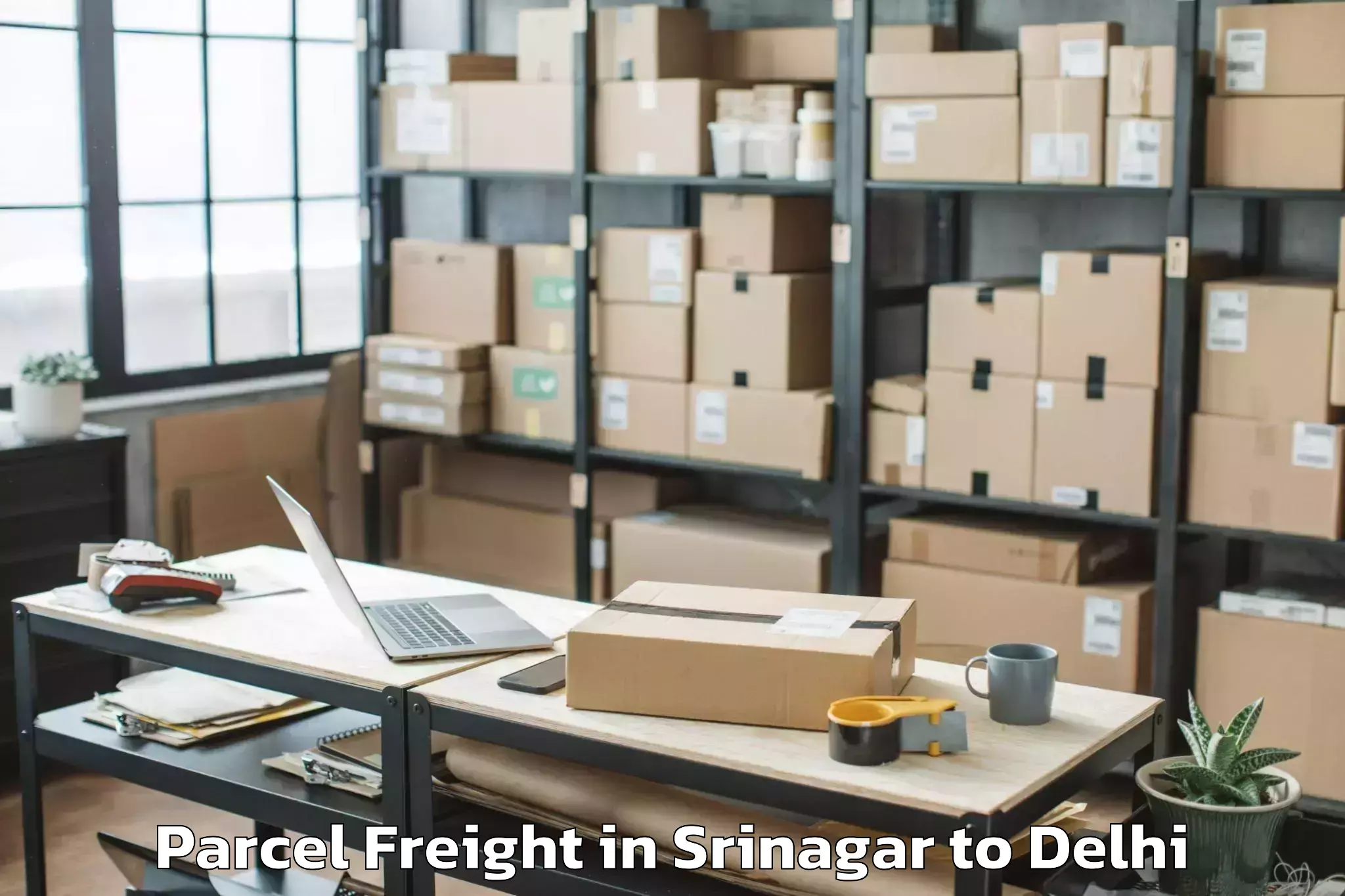 Top Srinagar to Parsvnath Mall Inderlok Parcel Freight Available